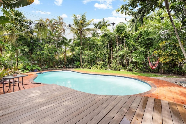 1320 Obispo Ave, Coral Gables, FL 33134 - outdoor pool with a wooden deck and a patio