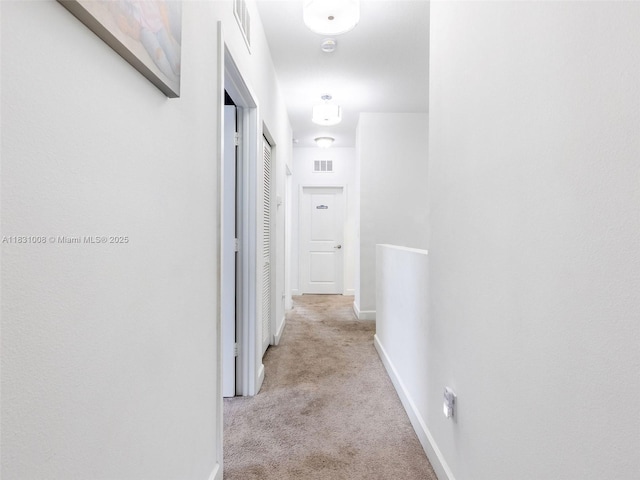4923 NW 48th Ter, Tamarac, FL 33319 - hallway featuring carpet flooring and baseboards