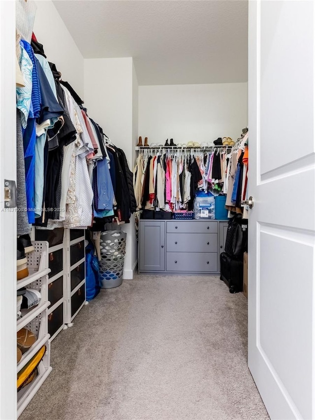 4923 NW 48th Ter, Tamarac, FL 33319 - spacious closet with carpet floors