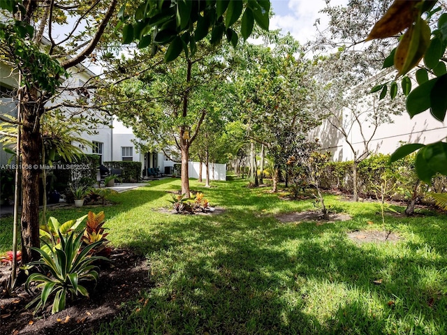4923 NW 48th Ter, Tamarac, FL 33319 - view of grassy yard