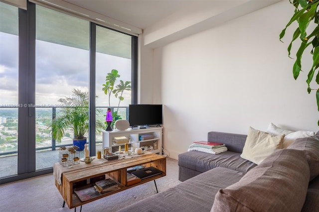 121 NE 34th St Unit 3110, Miami, FL 33137 - living area with floor to ceiling windows, healthy amount of natural light, and carpet