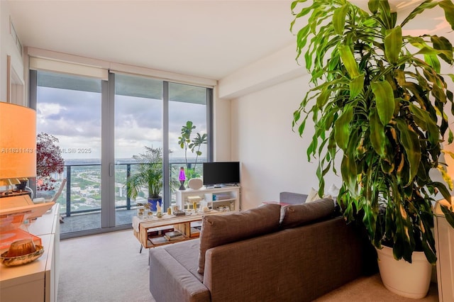 121 NE 34th St Unit 3110, Miami, FL 33137 - carpeted living area featuring expansive windows and healthy amount of natural light