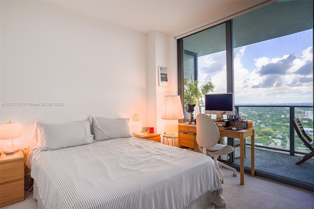 121 NE 34th St Unit 3110, Miami, FL 33137 - carpeted bedroom with floor to ceiling windows