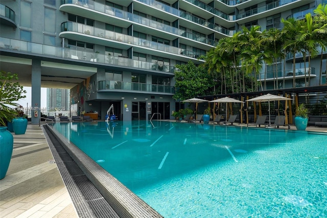 121 NE 34th St Unit 3110, Miami, FL 33137 - view of community pool