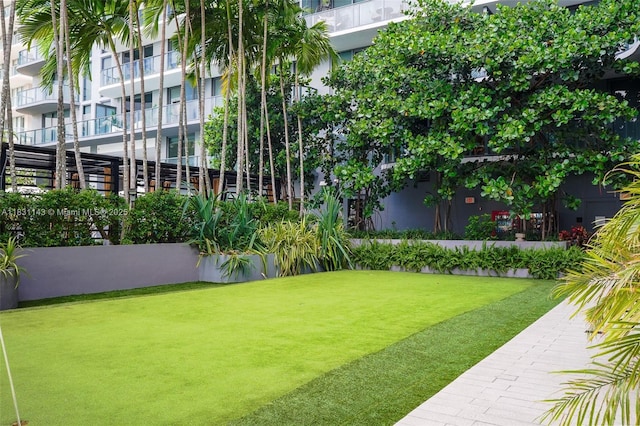121 NE 34th St Unit 3110, Miami, FL 33137 - view of green lawn