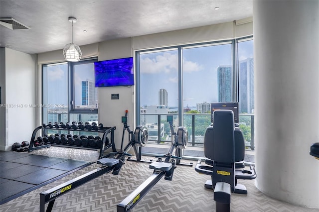 121 NE 34th St Unit 3110, Miami, FL 33137 - gym with carpet and healthy amount of natural light