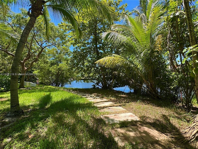 253 SW 13th Ter Unit 253, Fort Lauderdale, FL 33312 - photo 30