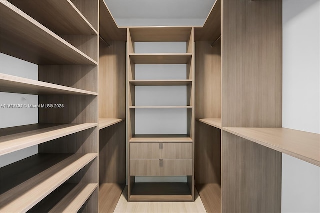 851 NE 1st Ave Unit Ph4912, Miami, FL 33132 - spacious closet with light wood-type flooring