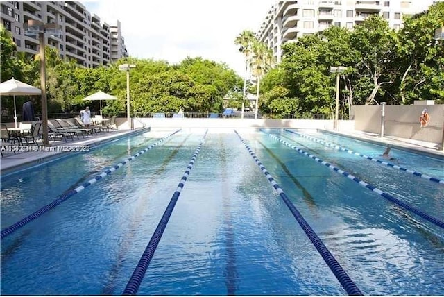 101 Crandon Blvd Unit 379, Key Biscayne, FL 33149 - photo 22