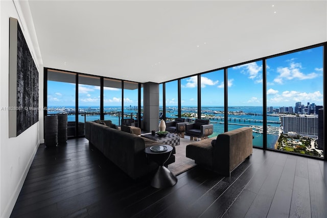 788 NE 23rd St Unit 5401, Miami, FL 33137 - living room featuring a wall of windows, a water view, hardwood / wood-style flooring, and a city view
