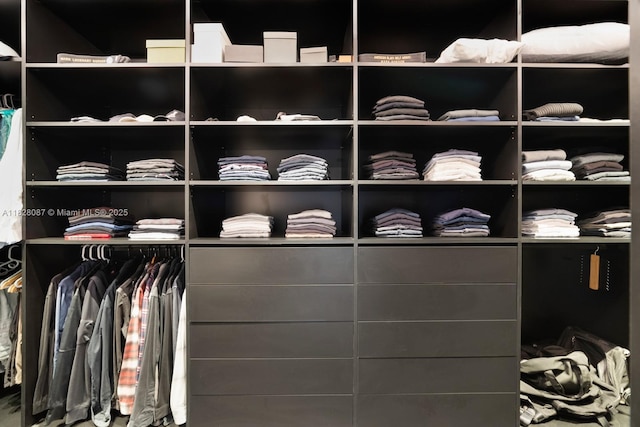 788 NE 23rd St Unit 5401, Miami, FL 33137 - view of walk in closet