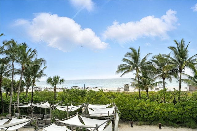 2301 Collins Ave Unit 318, Miami Beach, FL 33139 - photo 34