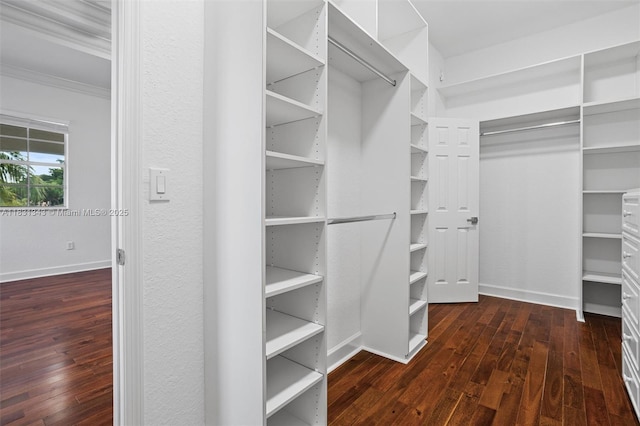11388 NW 68th St, Doral, FL 33178 - photo 23