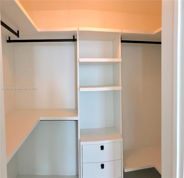 480 NE 31st St Unit 705, Miami, FL 33137 - view of walk in closet