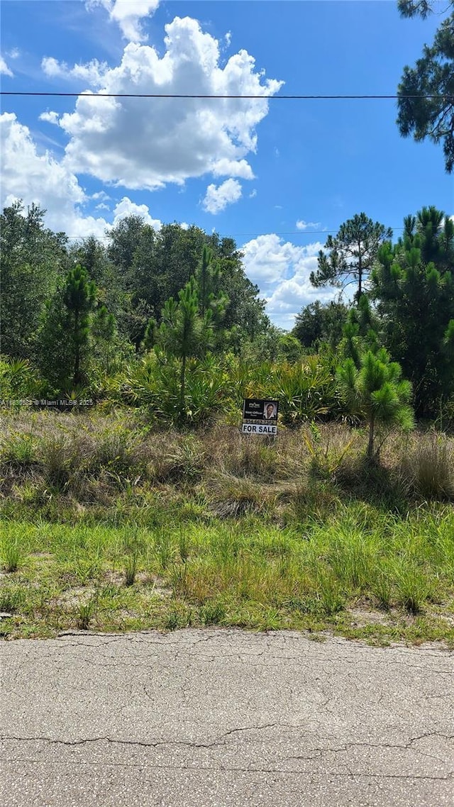 817 Lincoln Ave, Lehigh Acres, FL 33972 - photo 1