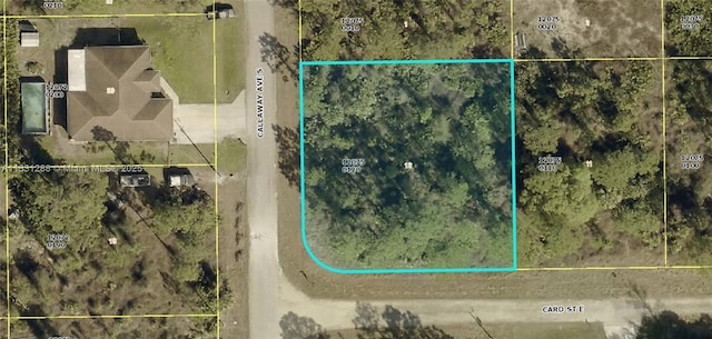 1017 Card St E, Lehigh Acres, FL 33874