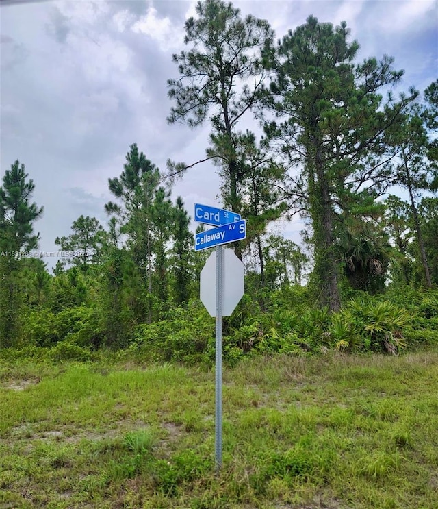 1017 Card St E, Lehigh Acres, FL 33874
