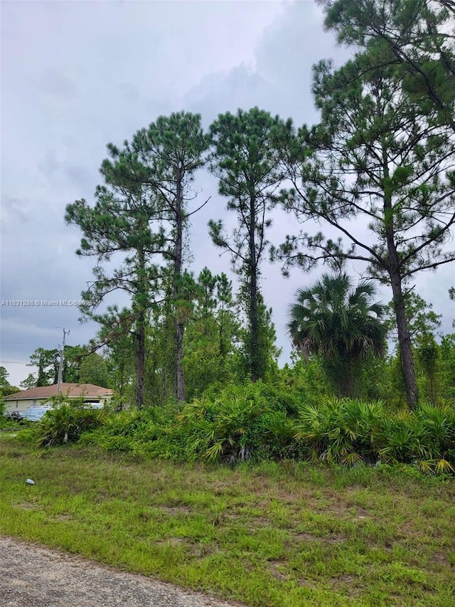 1017 Card St E, Lehigh Acres, FL 33874