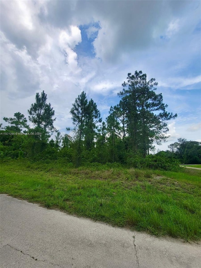 1017 Card St E, Lehigh Acres, FL 33874