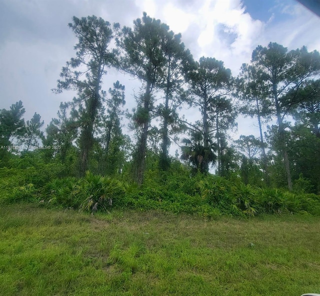 1017 Card St E, Lehigh Acres, FL 33874