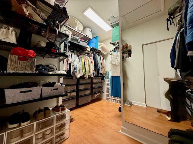 12820 SW 132nd Ter, Miami, FL 33186 - photo 37