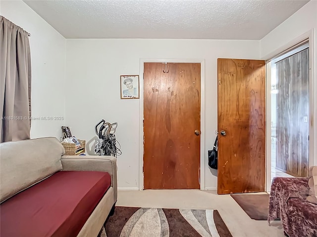 1206 E 27th St, Bradenton, FL 34208 - carpeted bedroom featuring a textured ceiling and two closets