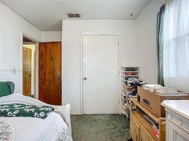 1206 E 27th St, Bradenton, FL 34208 - bedroom with carpet flooring, multiple windows, a closet, and a textured ceiling