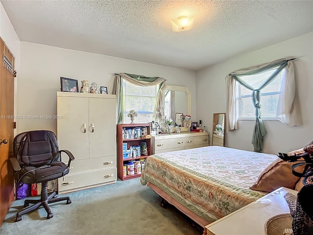 1206 E 27th St, Bradenton, FL 34208 - bedroom with carpet floors, multiple windows, and a textured ceiling