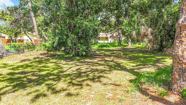 1206 E 27th St, Bradenton, FL 34208 - view of yard