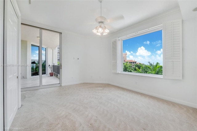 13621 Deering Bay Dr Unit 502, Coral Gables, FL 33158 - photo 25
