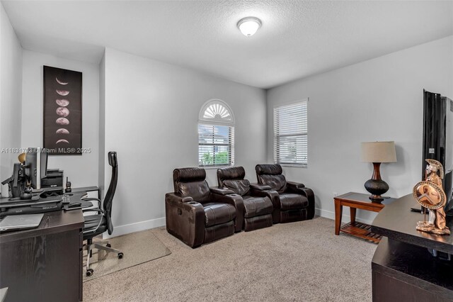 3274 W 96th Pl, Hialeah, FL 33018 - office featuring carpet and a textured ceiling