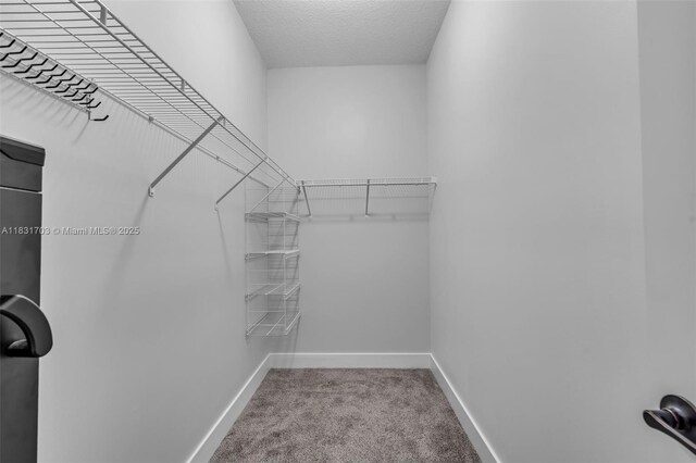 3274 W 96th Pl, Hialeah, FL 33018 - walk in closet with carpet floors