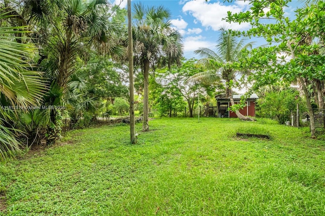 7900 SW Springhaven Ave, Indian Town, FL 34956 - view of green lawn with a shed