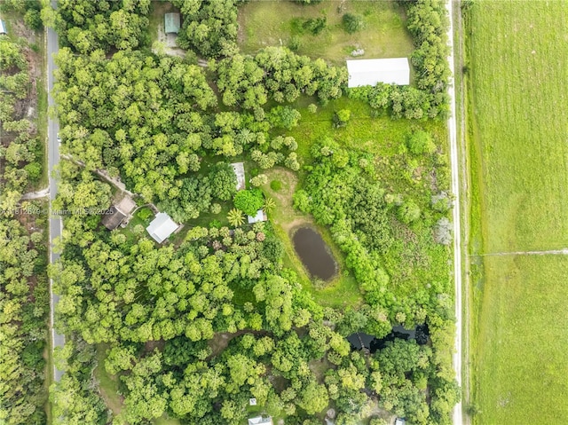 7900 SW Springhaven Ave, Indian Town, FL 34956 - view of property location with property boundaries highlighted