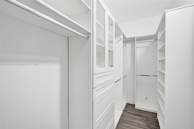 11056 Blackhawk Blvd, Davie, FL 33328 - spacious closet with wood finished floors