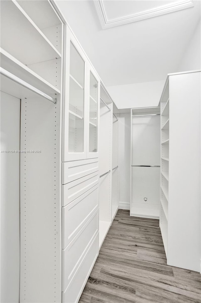 11056 Blackhawk Blvd, Davie, FL 33328 - spacious closet with wood finished floors