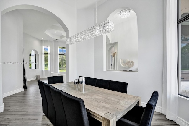 11056 Blackhawk Blvd, Davie, FL 33328 - dining space featuring arched walkways, wood finished floors, and recessed lighting