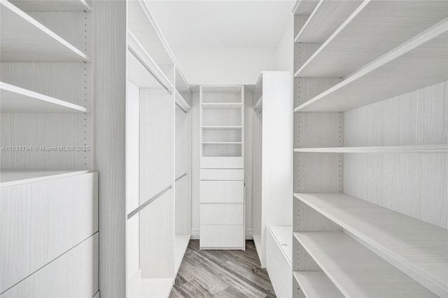 11056 Blackhawk Blvd, Davie, FL 33328 - walk in closet with wood finished floors