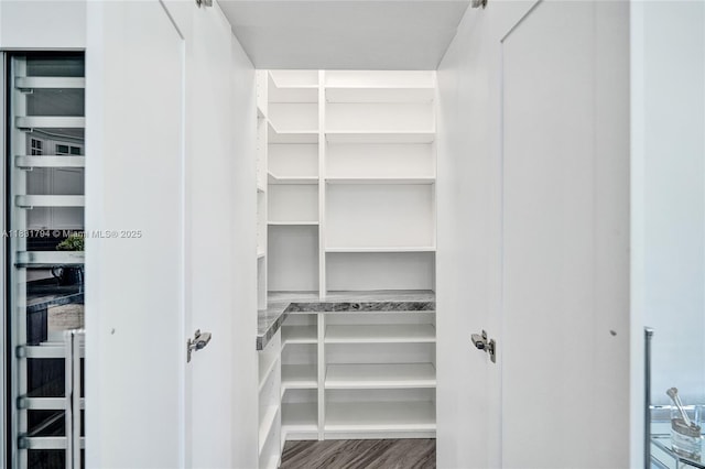 11056 Blackhawk Blvd, Davie, FL 33328 - walk in closet featuring wood finished floors