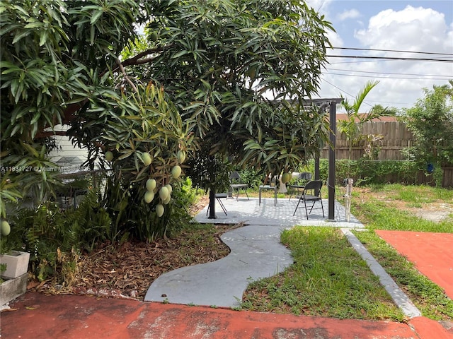 1014 W 68th St, Hialeah, FL 33014 - view of yard featuring a patio area