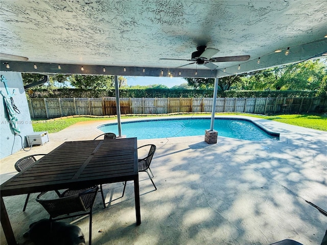 2980 SW 82nd Way, Davie, FL 33328 - view of swimming pool with a ceiling fan, a fenced backyard, and a patio area