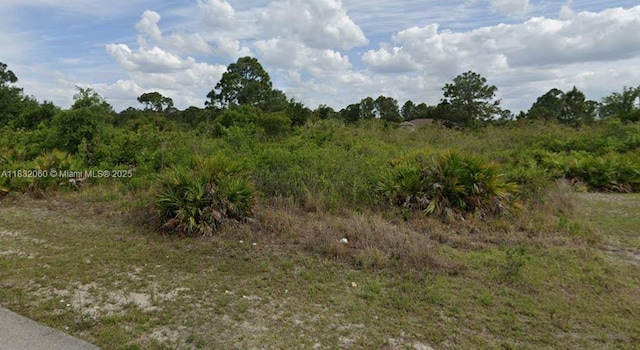 2703 40th St W, Lehigh Acres, FL 33971 - photo 3