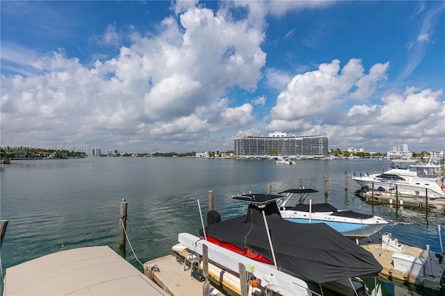 6770 Indian Creek Dr Unit 7A, Miami Beach, FL 33141 - dock with a water view and a city view