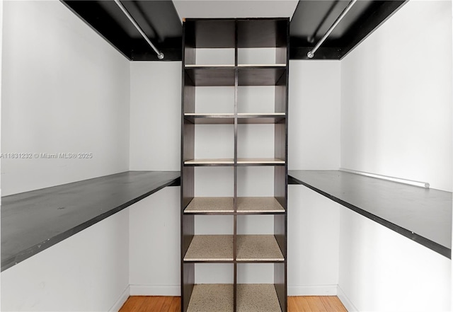 735 14th Pl Unit 3, Miami Beach, FL 33139 - spacious closet featuring light wood finished floors