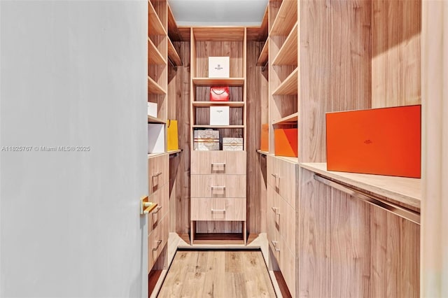 9448 Abbott Ave, Surfside, FL 33154 - walk in closet featuring light wood-type flooring