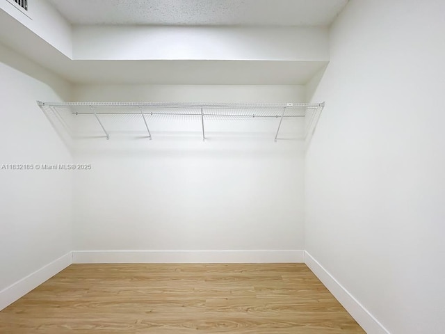2607 NW 104th Ave Unit 206, Sunrise, FL 33322 - walk in closet with light wood-style floors