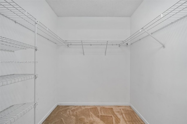 13701 SW 12th St Unit 405A, Pembroke Pines, FL 33027 - walk in closet with light carpet