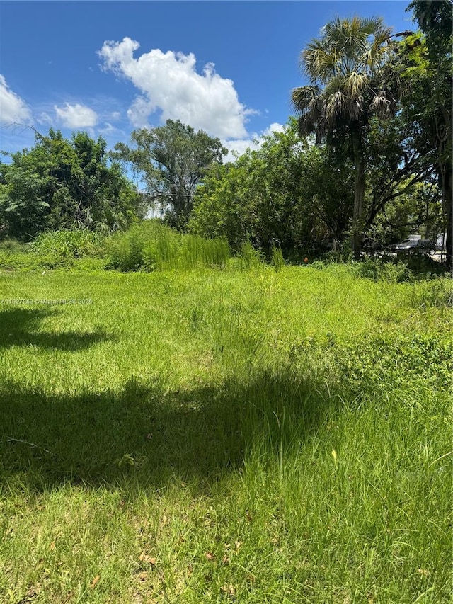0 Henrietta St, Kissimmee, FL 34741 - photo 3