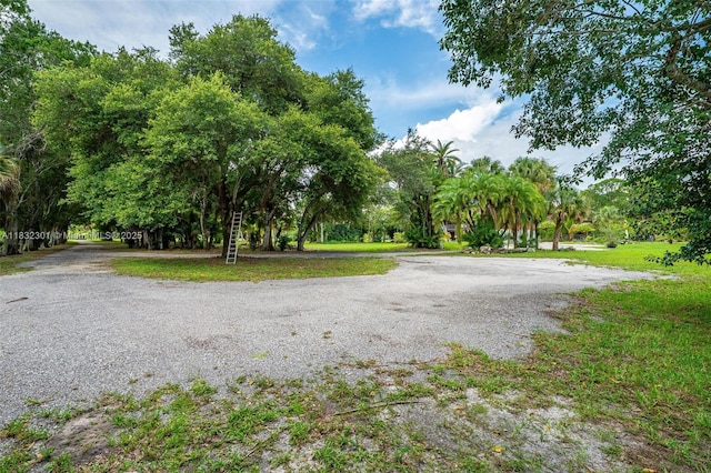 576 Marshall Rd, West Palm Beach, FL 33413 - view of dirt / gravel road featuring view of wooded area