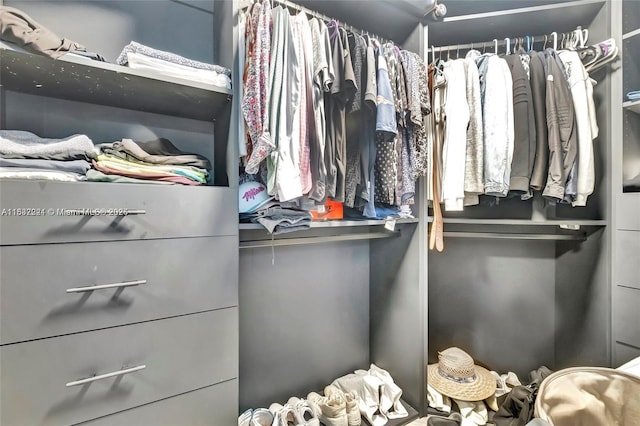 2020 N Bayshore Dr Unit 3408, Miami, FL 33137 - view of walk in closet